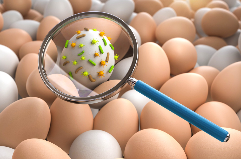 Salmonella risk in food production