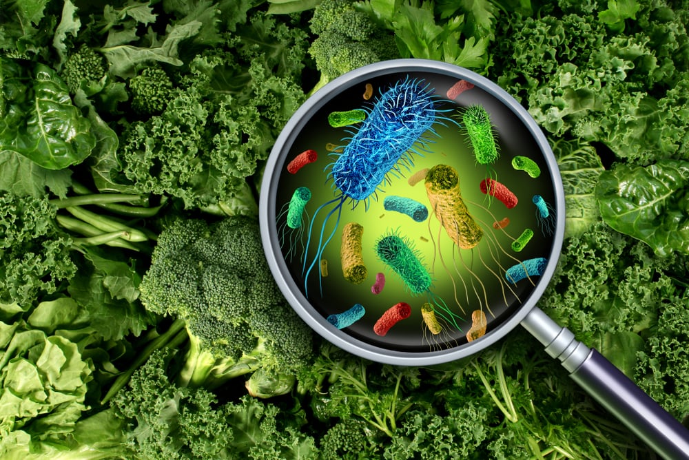 Rapid testing methods for E. coli monitoring in food production
