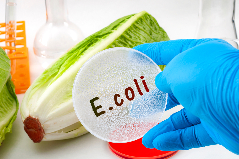 E.coli contamination