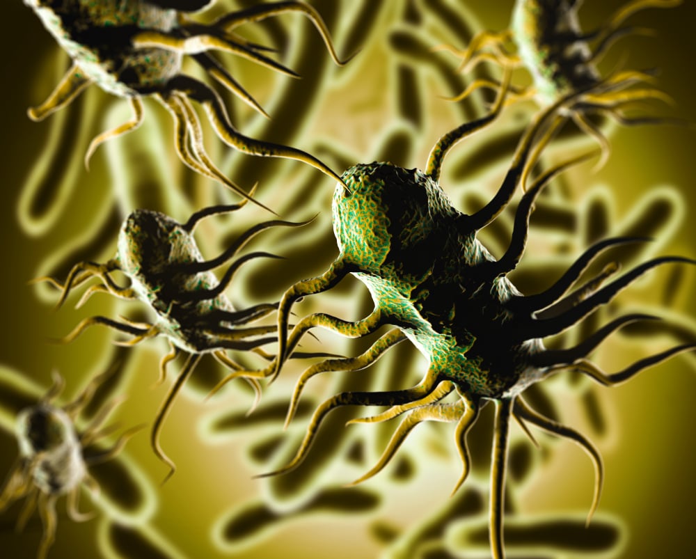 Listeria monocytogenes in Fresh and Ready-to-Eat Produce: common sources and potential hazards