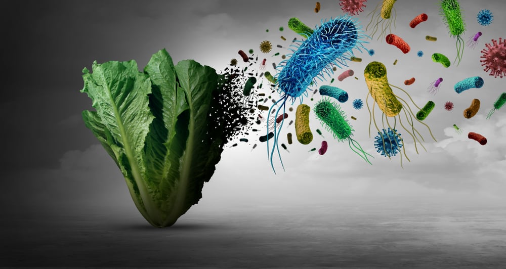 Salmonella contamination in vegetables: causes and prevention