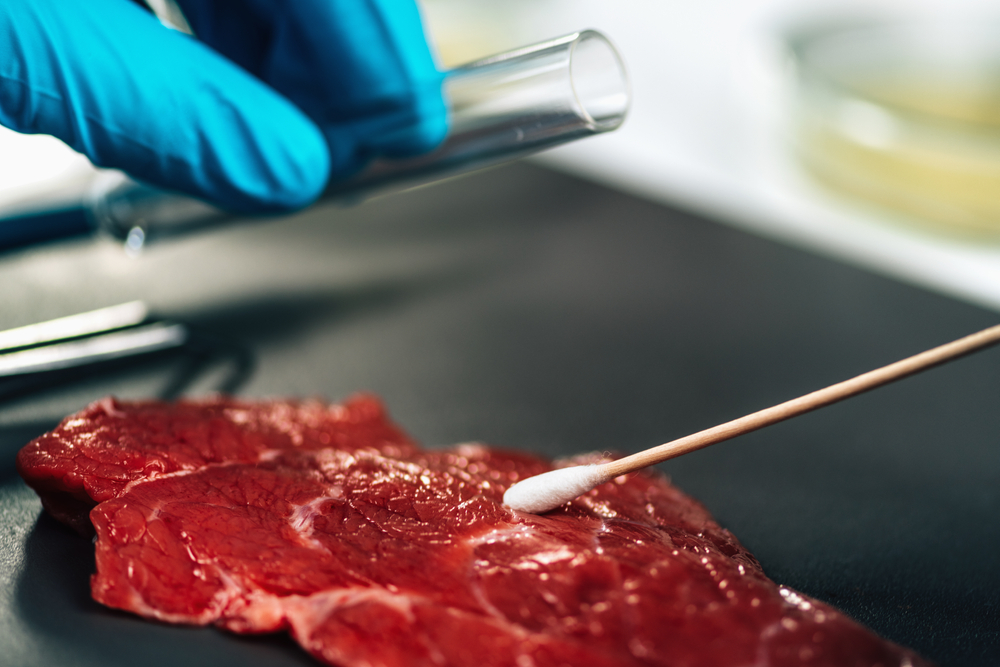 Sampling techniques for detecting Salmonella spp and Listeria monocytogenes in food production
