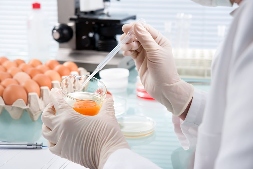 Rapid testing methods for Salmonella monitoring in food production